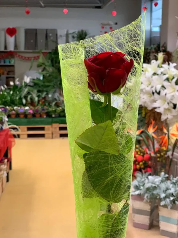 Composizione da 1 ROSA n°2