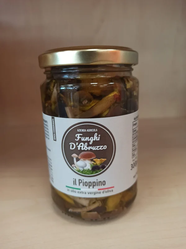 Pioppini 200gr (vasetto sott’olio) GM