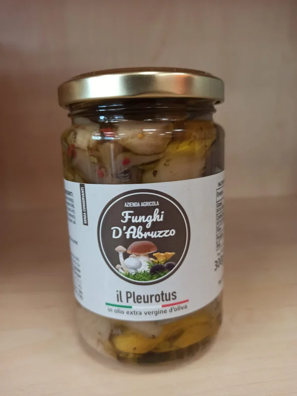 Pleurotus 200gr (vasetto sott’olio) GM