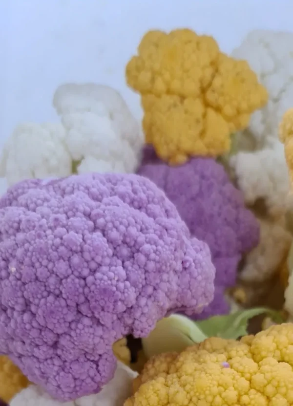 Mix di cavolfiori puliti, lavato e pronto da cucinare 500gr GM