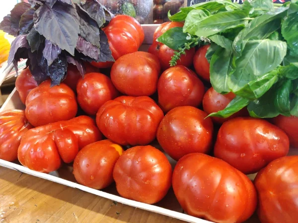 Pomodori nostrano di Francavilla 1° cat GM