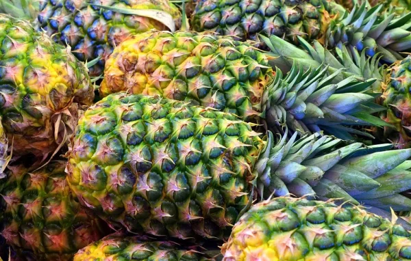 Ananas 1° Cat. ( kg 2.2 /2.4) GM