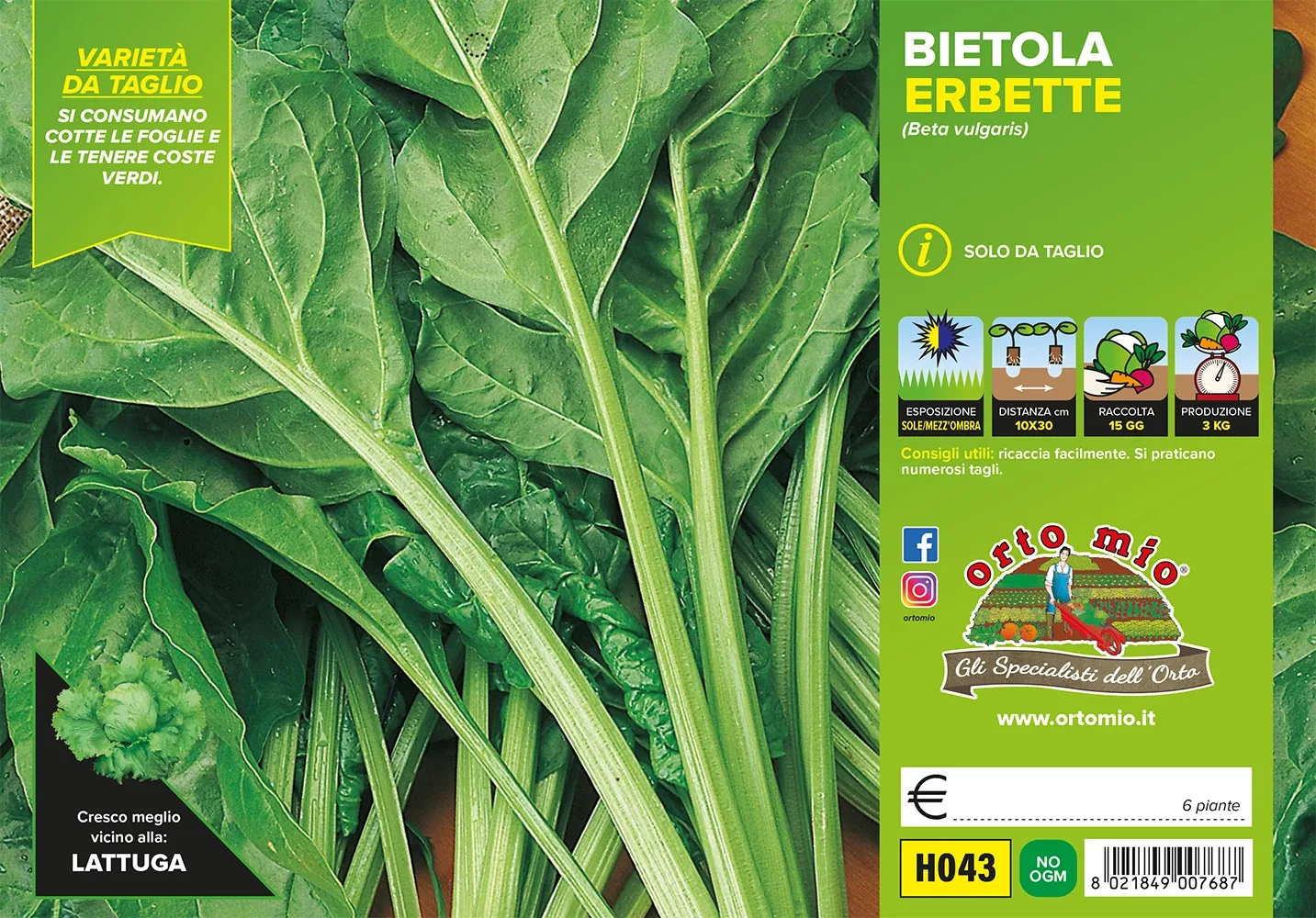 Bietola ERBETTE da taglio