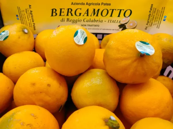 Bergamotto non trattato (1 kg) GM