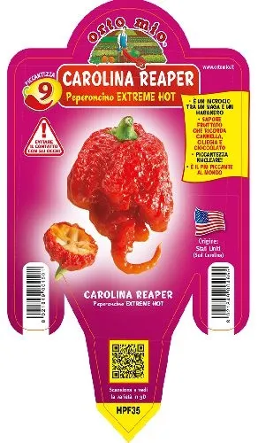 Peperoncino CAROLINA REAPER – EXTREME HOT