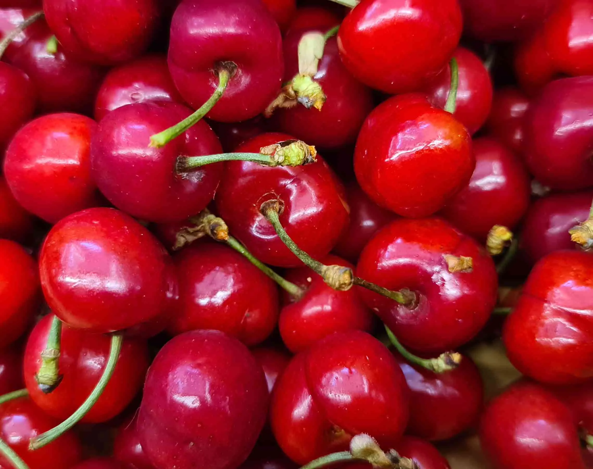 Ciliegie Vignola (500g) GM