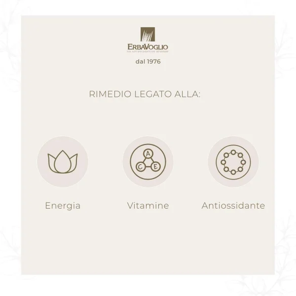 Polvere di Gynostemma - immagine 3