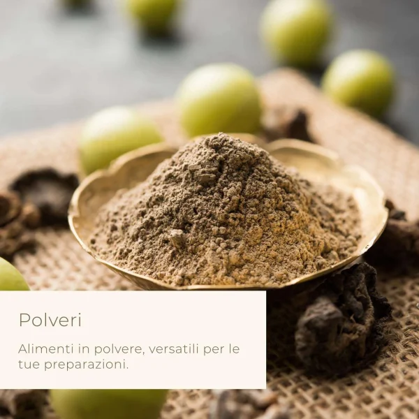 Polvere di Gynostemma - immagine 4