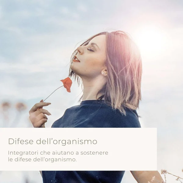 Difesa – Andrographis Composta – Capsule - immagine 3