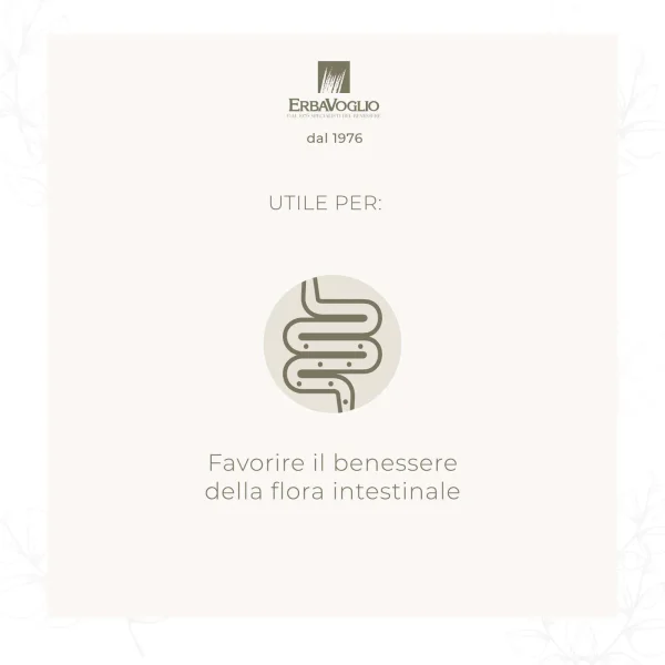 Ricarica Enterocol Capsule - immagine 2