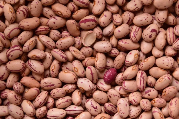 Fagioli borlotti freschi sgranati (250g) GM