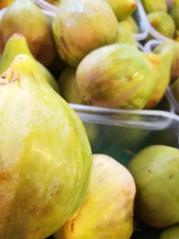 Fichi verdi GM