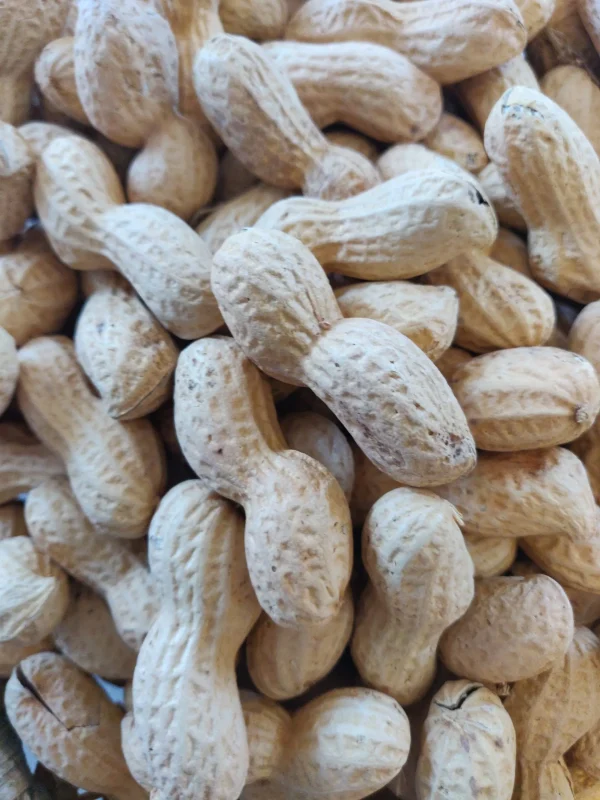 Arachidi (350gr) GM - immagine 2
