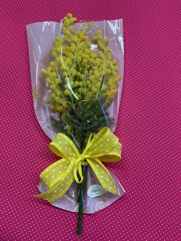 Composizione con mimosa mini
