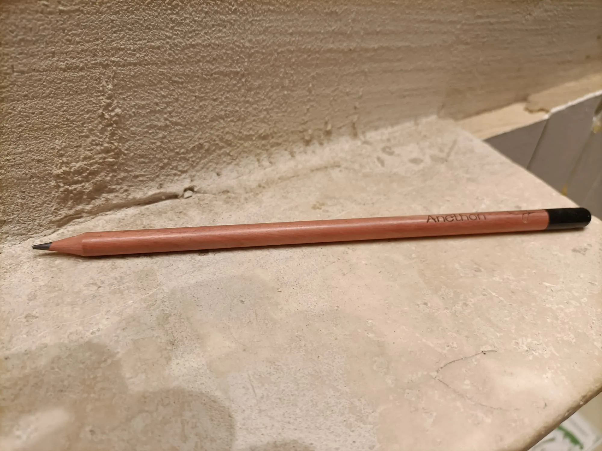 Matita da disegno che diventa pianta - immagine 8