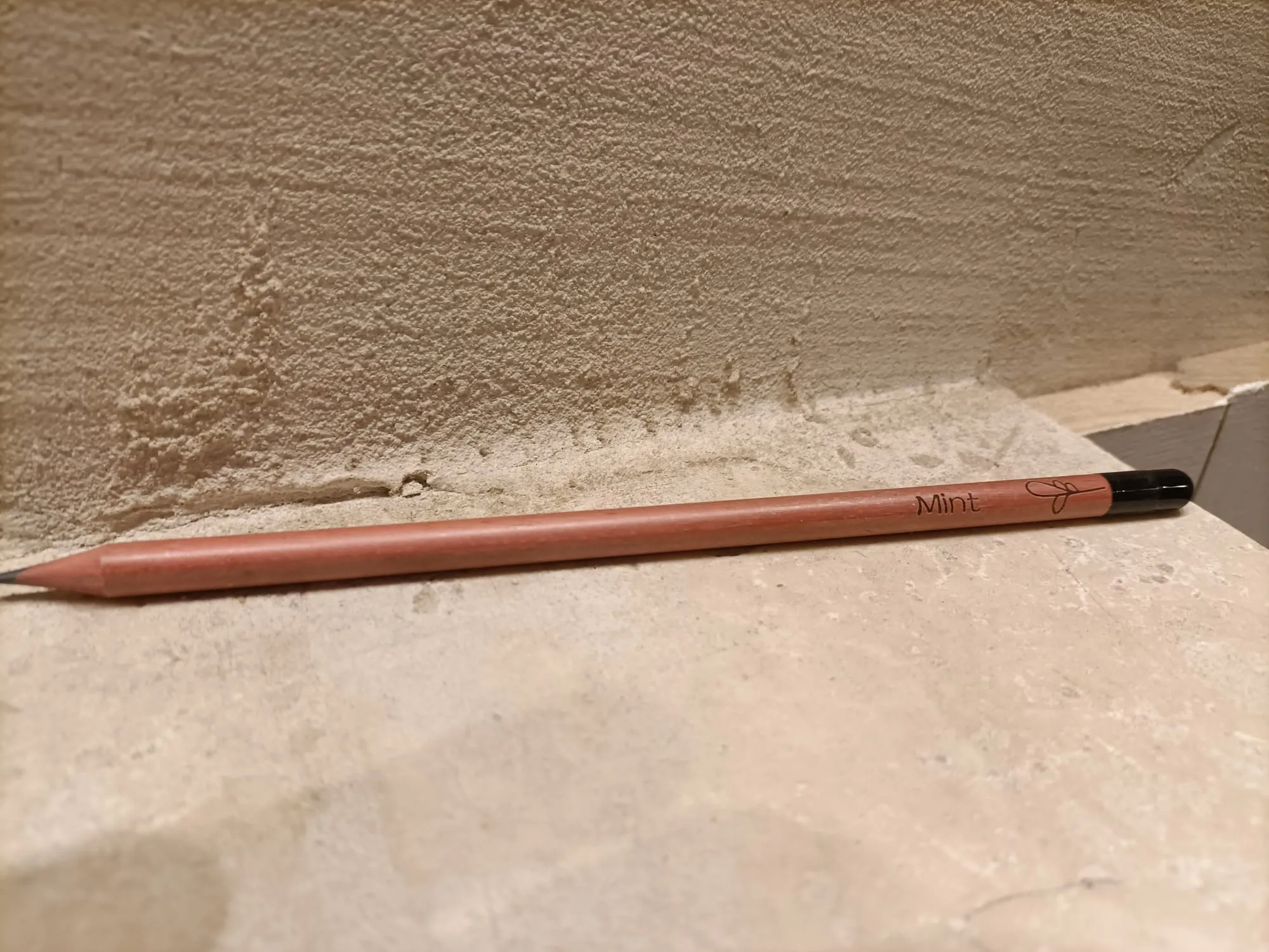 Matita da disegno che diventa pianta - immagine 6