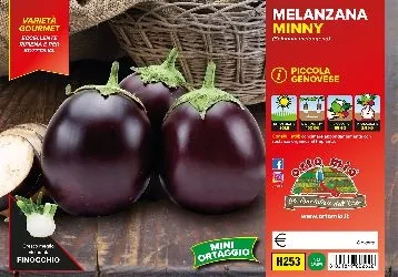 Melanzana PICCOLA GENOVESE
