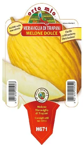 Melone GIALLO meraviglia di Trapani