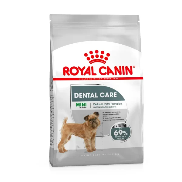 Mini Dental Care
