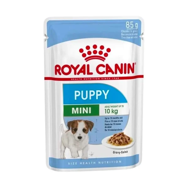 Mini Puppy