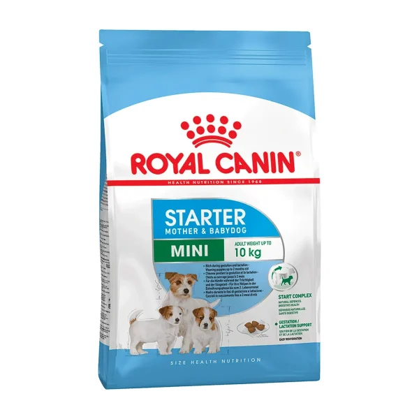 Mini Starter