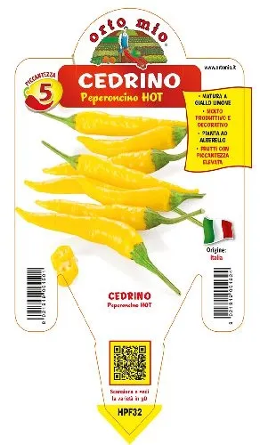 Peperoncino CEDRINO – HOT