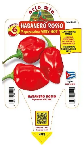 Peperoncino HABANERO ROSSO