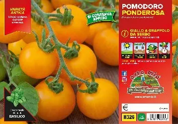 Pomodoro DA APPENDERE GIALLO