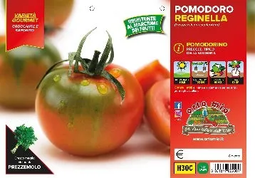 Pomodoro SARDO “Reginella”