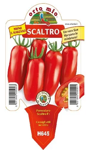 Pomodoro MINI SAN MARZANO