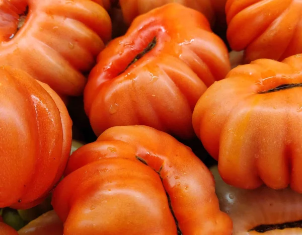 Pomodori pera rossi Francavilla GM