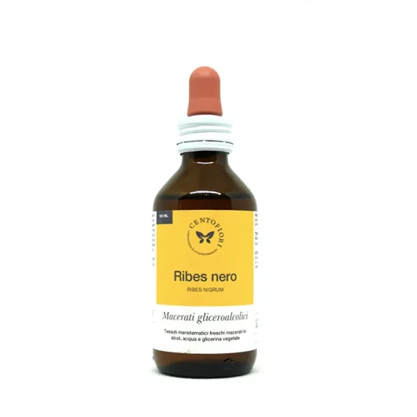 Ribes nero – Ribes nigrum – MACERATO GLICERINATO – CENTO FIORI