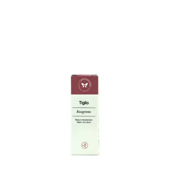 Tiglio- Tilia Tomentosa -Basegemmo