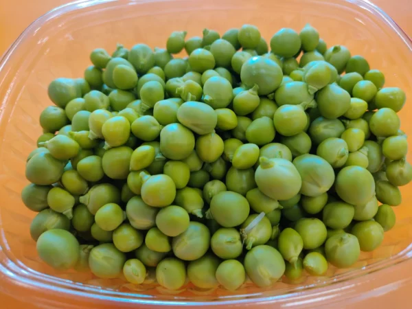 Piselli sgranati 250gr GM