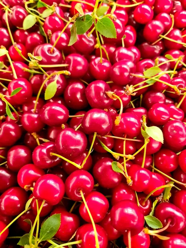 Amarene locali (4kg) GM