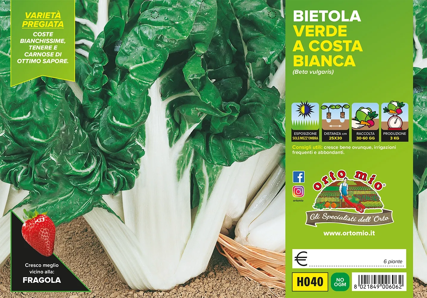 Bietola VERDE a costa bianca