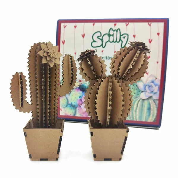 SpillyCactus gift box “I love design”