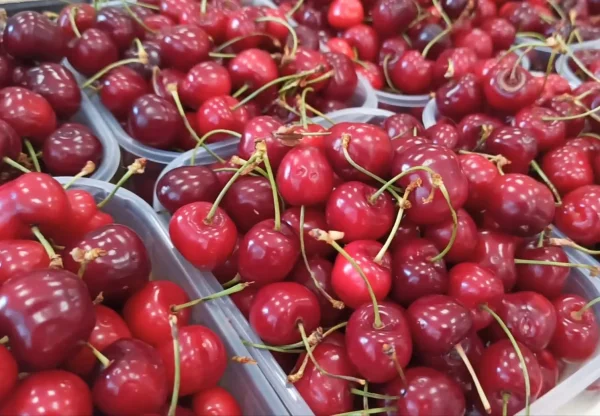 Ciliegie  Locali (1kg) GM