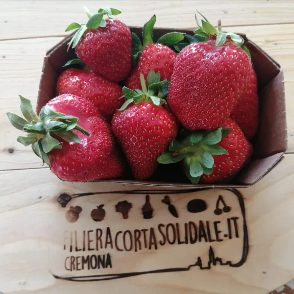 Fragole 250g, Az. bio Della Valle