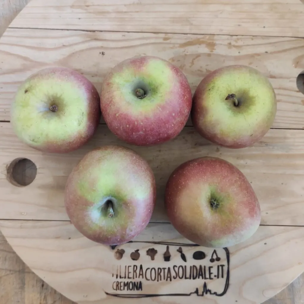 Mele Fuji 1kg, Gasperi