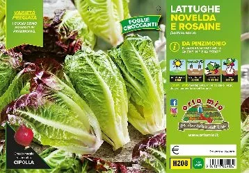 Lattuga PINZIMONIO mix