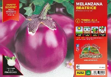 Melanzana TONDA LILLA