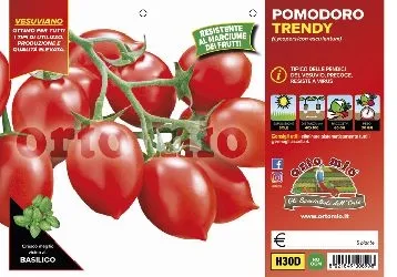 Pomodoro VESUVIANO Piccadilly “Trendy”