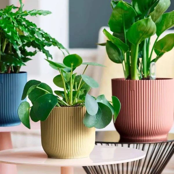 Vaso vibes fold round Ø18cm – Elho