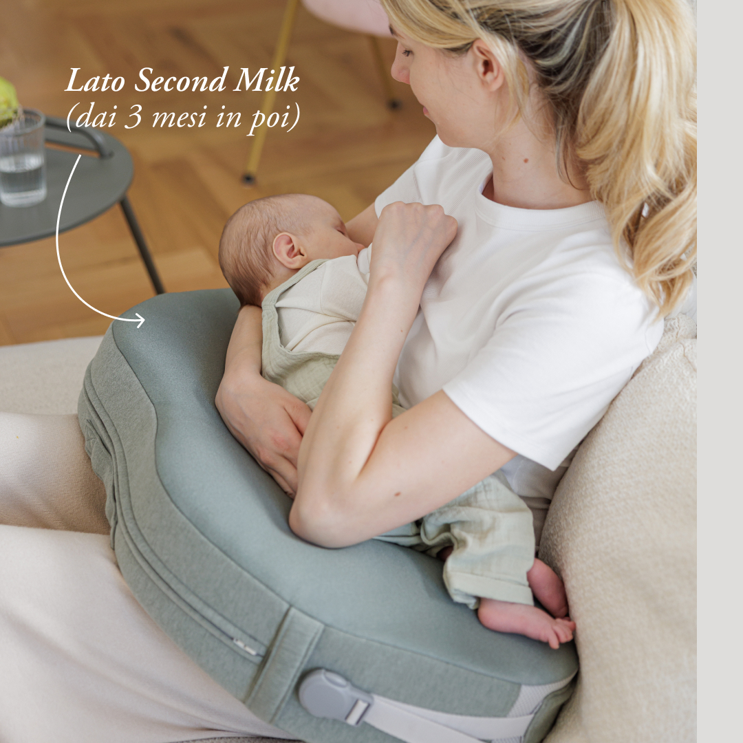 Inglesina Cuscino Allattamento Elysia - immagine 3
